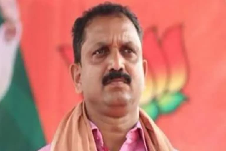 K. Surendran against CPM  K. Surendran on k rail  bjp on tree-felling case  K. Surendran support v. muraleedharan  സിപിഎം  കെ മുരളീധരന്‍  മുട്ടില്‍ മരം മുറി കേസ്  കെ റെയിലിനെതിരെ ബിജെപി