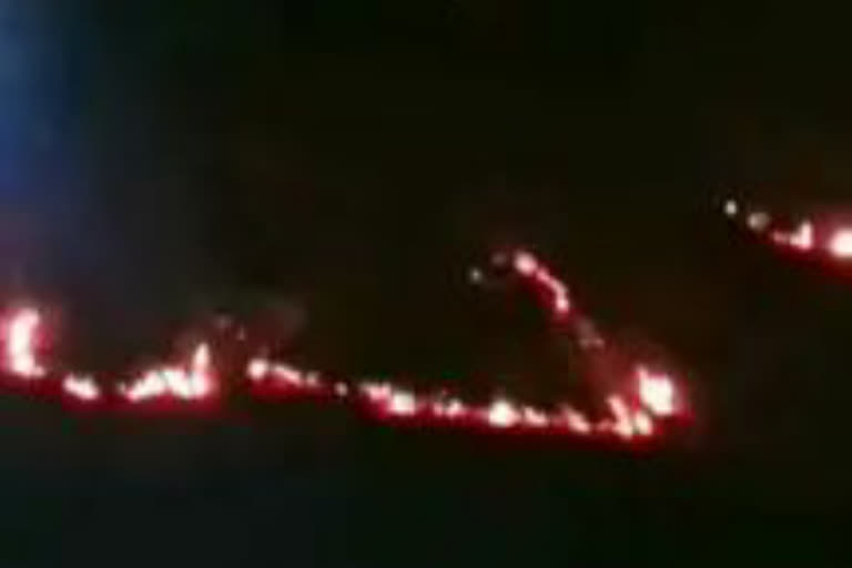 Fire In Forest Pune