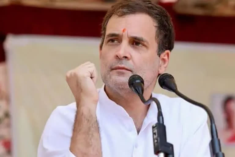 Dehradun woman seeks court to declare Rahul Gandhi heir of her property  Dehradun woman is impressed by Rahul's thoughts  woman wants Rahul Gandhi as property heir  സ്വത്തിന്‍റെ പിന്തുടര്‍ച്ചാവകാശി രാഹുല്‍ ഗാന്ധി ആവണമെന്ന് ഡെറാഡൂണിലെ യുവതി  സ്വത്തിന്‍റെ അവകാശം രാഹുലിന് എഴുതിവച്ച് ഉത്തരാഖണ്ഡിലെ യുവതി