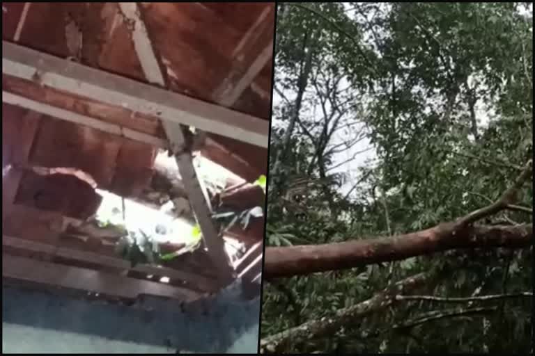 Kollam Intense rain Damages  heavy Damages during rain in kollam  കൊല്ലത്ത് വിവിധയിടങ്ങളില്‍ ശക്തമായ കാറ്റും മഴയും  കൊല്ലത്ത് കാറ്റിലും മഴയിലും കെട്ടിടങ്ങള്‍ തകര്‍ന്നു  കൊല്ലത്ത് കാറ്റിലും മഴയിലും ലക്ഷക്കണക്കിന് രൂപയുടെ കൃഷിനാശം