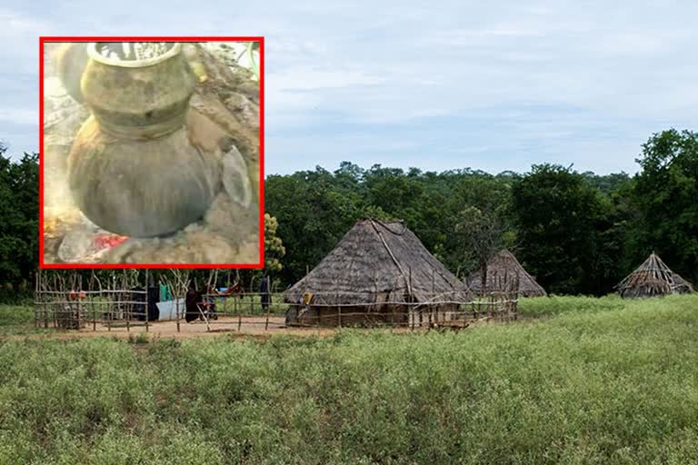 Natu Sara in Nallamala