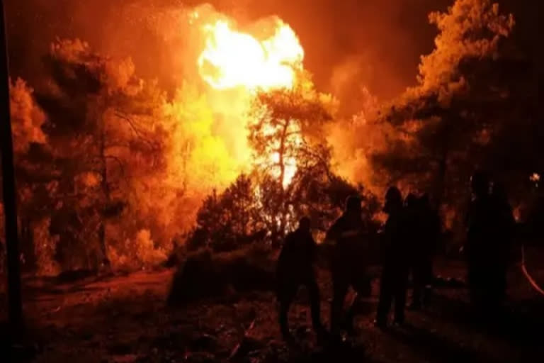 Sariska reserve forest blaze now posing threat to tigers' life