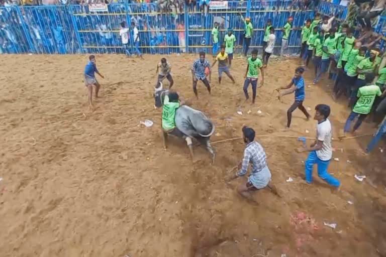 தான முளைத்த முத்து மாரியம்மன் கோயில் திருவிழா: களைகட்டியது ஜல்லிக்கட்டு போட்டி!