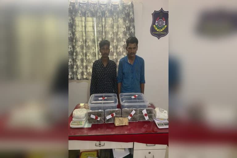 Cannabis seized in Surat: સુરતના કતારગામમાં ગાંજાનું વેચાણ કરતા બે શખ્સો SOG પોલીસે ઝડપી પાડ્યા