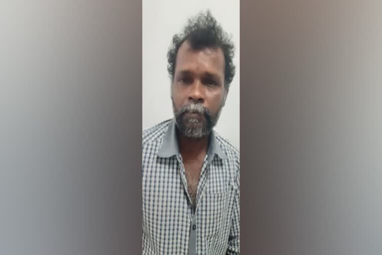 Woman found dead in chittoor The man was arrested by the police  The man was arrested by the police  Woman found dead in chittoor  ചിറ്റൂരിൽ സ്‌ത്രീയെ മരിച്ചനി​ല​യി​ല്‍ ക​ണ്ടെ​ത്തി  സ്ത്രീ​യെ മ​രി​ച്ച​നി​ല​യി​ല്‍ ക​ണ്ടെ​ത്തി കൂ​ടെ താ​മ​സി​ച്ചി​രു​ന്ന​യാ​ളെ പൊ​ലീ​സ് അ​റ​സ്റ്റ് ചെ​യ്‌തു  ചിറ്റൂരിൽ സ്‌ത്രീയെ മരിച്ചനി​ല​യി​ല്‍  ചിറ്റൂരിൽ കൊലപാതകം