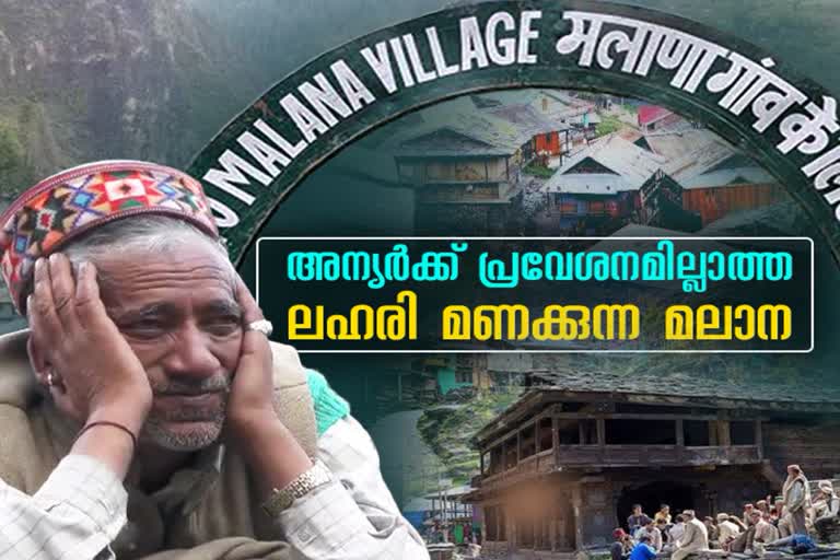 Malana village in Kulu  Malana village of Himachal  കൊവിഡ് തൊടാത്ത ഇന്ത്യന്‍ ഗ്രാമം  കുളുവില്‍ കാണേണ്ടത്  മലാന ഗ്രാമത്തിന്‍റെ പ്രത്യേകത  മലാന ഗ്രാമം  മലാന ക്രീം  മരം കൊണ്ടുള്ള വീടുകള്‍  മലാനയിലെ സംസ്കാരം