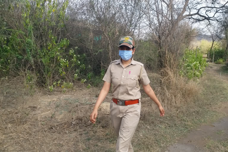 Woman forest worker in Nahargarh Biological Park