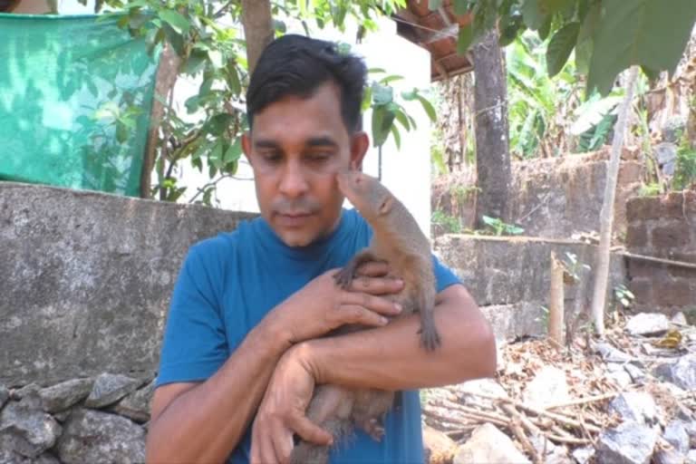 மனிதனுக்கும், கீரிக்கும் இடையே இனம்புரியாத பாசப்பிணைப்பு