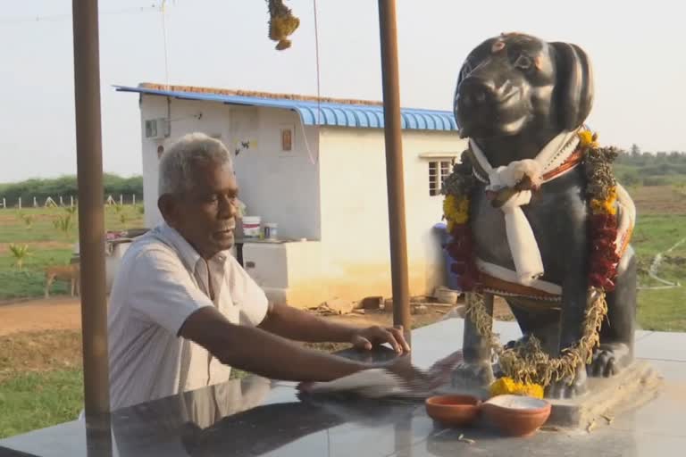 man builds temple for his dog