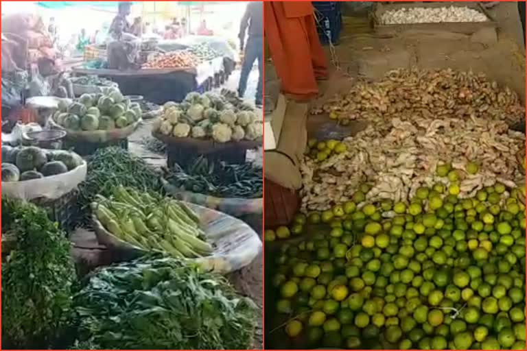 fruits and vegetables price in haryana