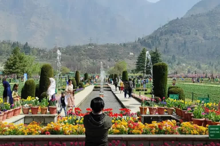 Reduction Of Tourists In Kashmir