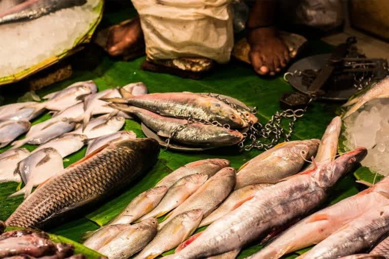 Fish Price Hike