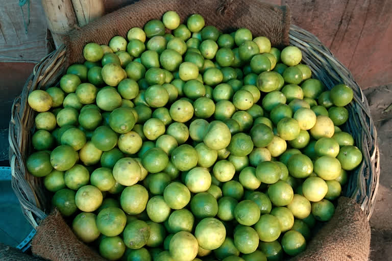 Hike in Lemon prices in Patna