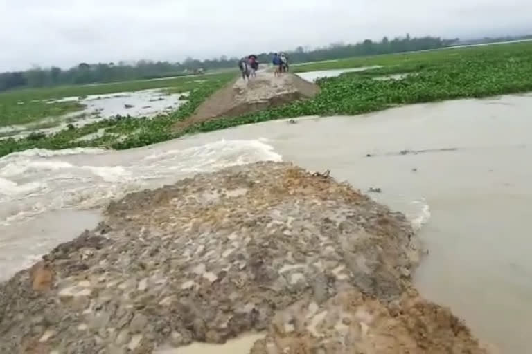 assam-flood-embankment-washed-away-in-tinsukia