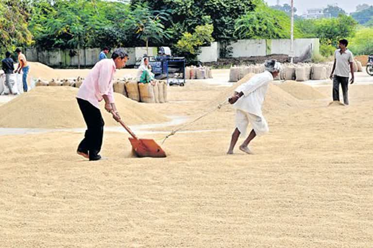 Rabi Paddy Procurement