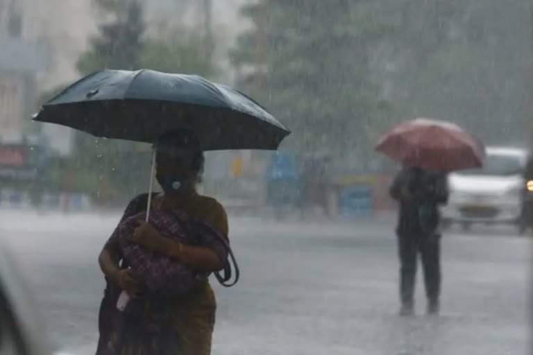 സംസ്ഥാനത്ത് അഞ്ച് ദിവസം ശക്തമായ മഴ  ഇടിമിന്നല്‍ ജാഗ്രത  yellow alert today  യെല്ലോ അലര്‍ട്ട്