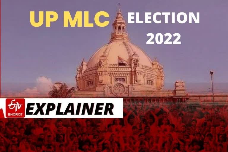 MLC Election