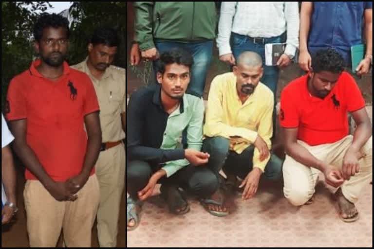 Bengal Monitor Lizard raped in Maharashtra Sahyadri tiger reserve  Three arrested in Kolhapur Maharashtra after raping endangered lizard  Animal abuse man rapes monitor lizard in Chandoli National Park  Bengal Monitor Lizard rape 3 arrested  മഹാരാഷ്‌ട്രയില്‍ ഉടുമ്പിനെ ലൈംഗികമായി പീഡിപ്പിച്ച് കൊന്നു  കോലാപൂർ ജില്ലയിലെ സഹ്യാദ്രി കടുവ സങ്കേതത്തില്‍ ഉടുമ്പിനെ ലൈംഗികമായി പീഡിപ്പിച്ചു