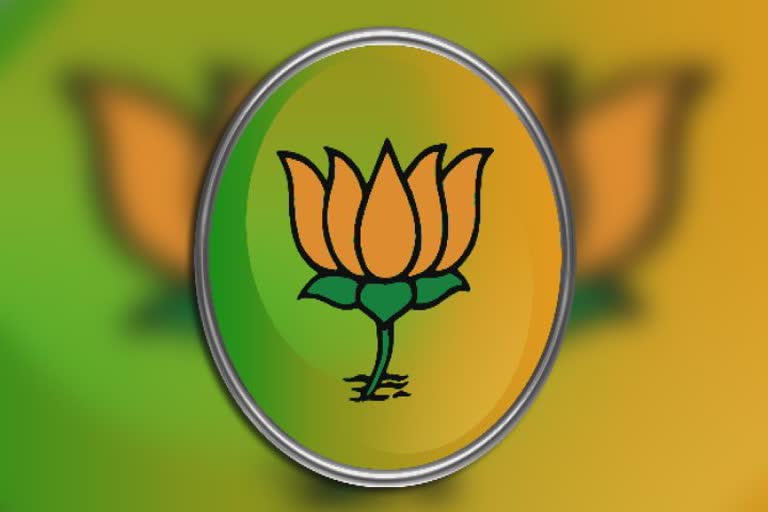 BJP Social Justice Fortnight : ભાજપે સામાજિક ન્યાય પખવાડિયા ઉજવણીની જવાબદારી આ પ્રધાનોને સોંપી