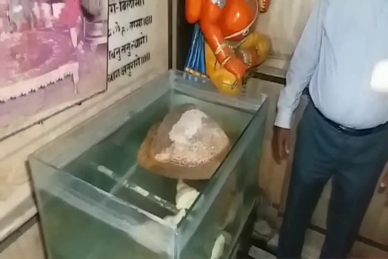 Ram Setu stone that floats in water