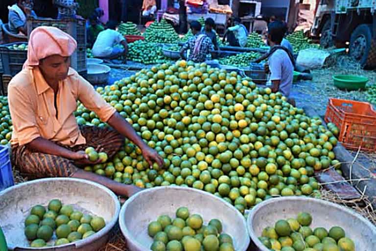 lemon price hike