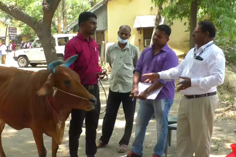 Higher education pursuers working professionals appear for TN veterinary recruitment exam