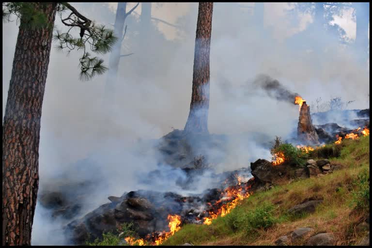 Fire Department Hamirpur