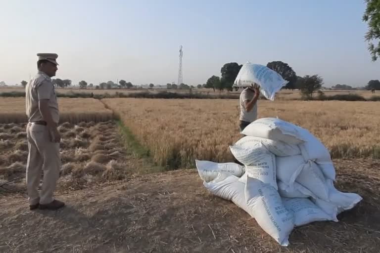 Sugar theft in Morena train