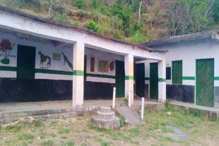 government primary school Mansaun