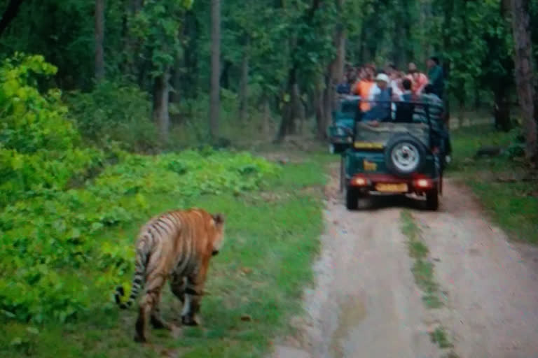 Presence of Naxalites in Kanha Tiger Reserve