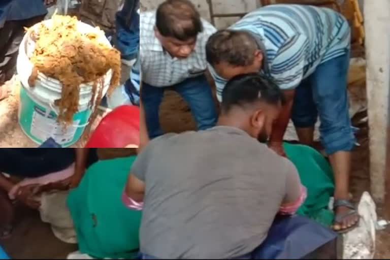 polythene removed from cow's stomach in berhampur