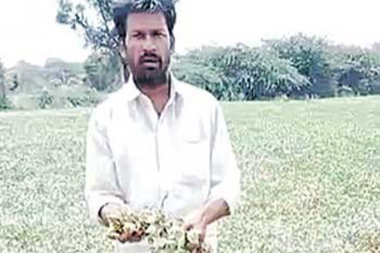 Farmer's problems with power cuts in andhra pradesh