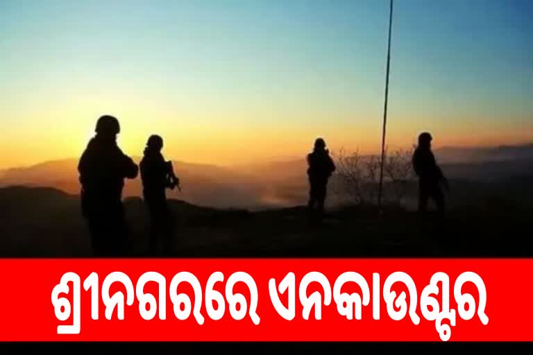 Encounter In Srinagar: ସୁରକ୍ଷାକର୍ମୀଙ୍କ ଗୁଳିରେ ଜଣେ ଆତଙ୍କୀ ନିପାତ