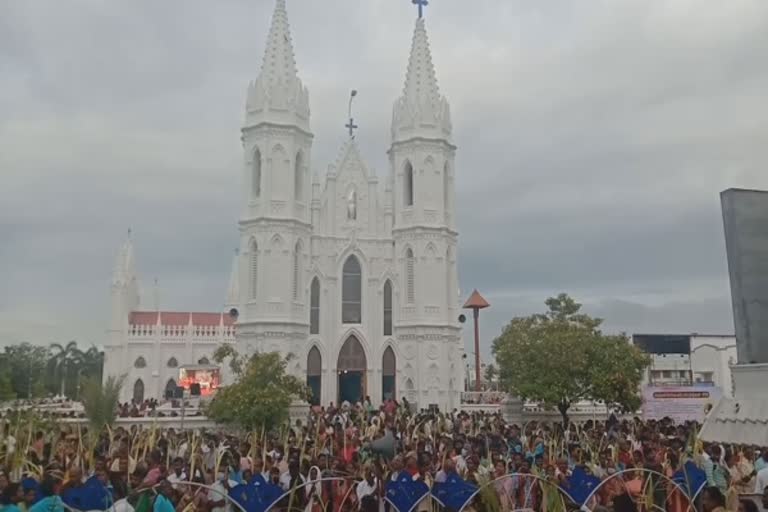 வேளாங்கண்ணியில் 'குருத்தோலை ஞாயிறு' உற்சாகம்