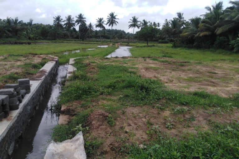 Order to restore the agricultural land filled by the Village Officer  വില്ലേജ്‌ ഓഫീസർ നികത്തിയ കൃഷി ഭൂമി പൂർവ്വ സ്ഥിതിയിലാക്കാൻ ഉത്തരവ്‌  വില്ലേജ്‌ ഓഫീസർ കൃഷി ഭൂമി നികത്തി  തണ്ണീർത്തട സംരക്ഷണ നിയമം ലംഘനം