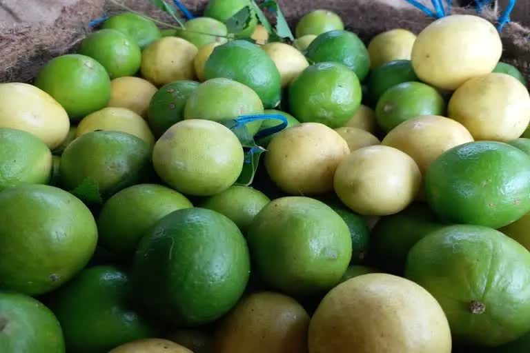 lemon price