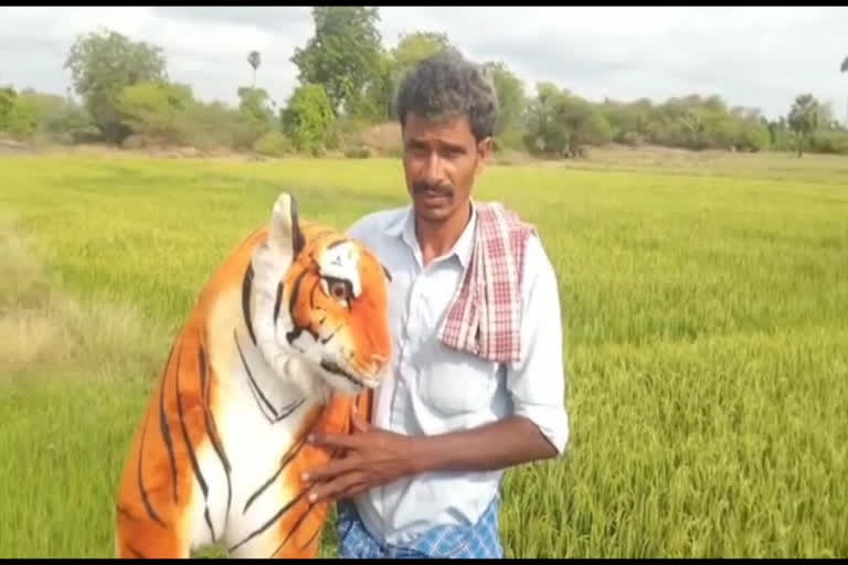 crops  protect with tiger