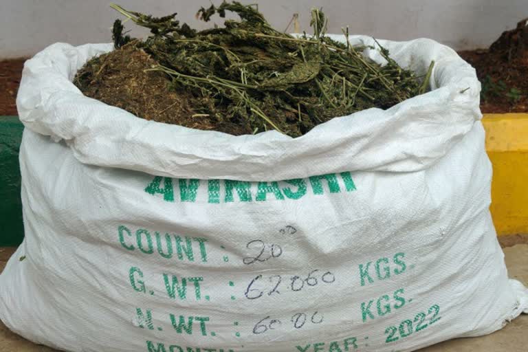 arrested-for-trying-ganja-sale-in-bangalore