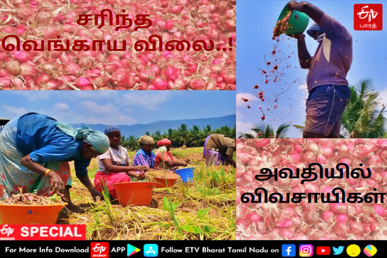 small onion rate  famers troubles on small onion rate  onion rate  famers troubles  சரிந்த வெங்காய விலை  வெங்காய விலை  சின்ன வெங்காய விலை  விவசாயிகளின் அவதி  வெங்காய விலை குறைவால் விவசாயிகள் அவதி