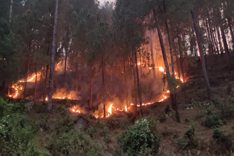 orgy of fire in uttarkashi