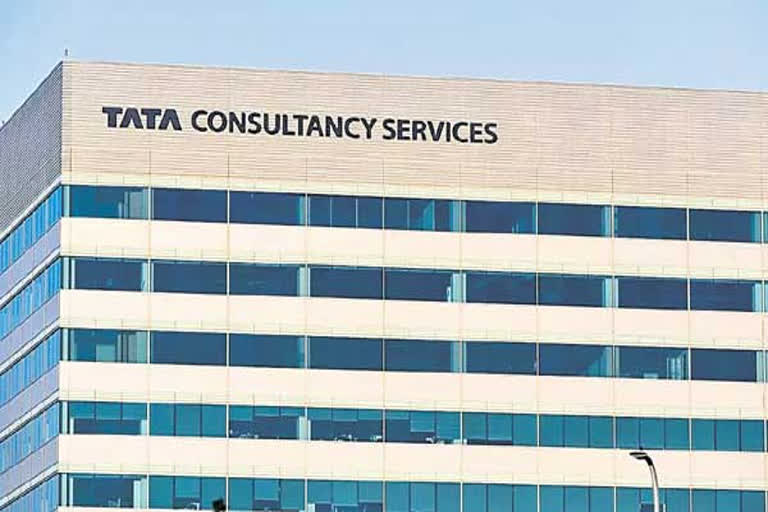 TCS Net Profit