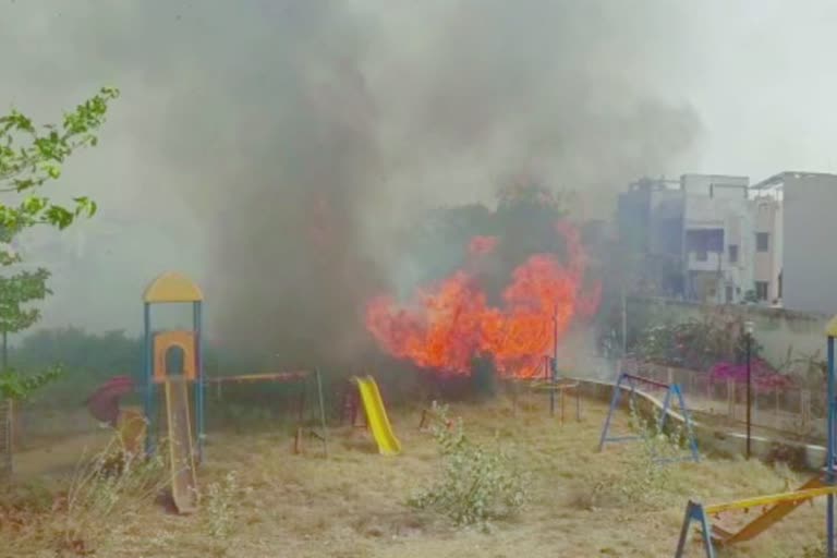 Fire in disputed garden in Deesa : અઢી કરોડના વિવાદિત બગીચામાં આગ લાગી, ઘટાદાર વૃક્ષો ધરાવતો બગીચો રાખમાં ફેરવાયો