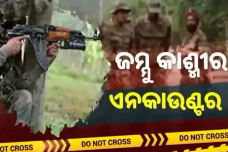 encounter in Kulgam: ଦୁଇ ଆତଙ୍କୀ ନୀପାତ, ଗୁଳି ବିନିମୟ ଜାରି