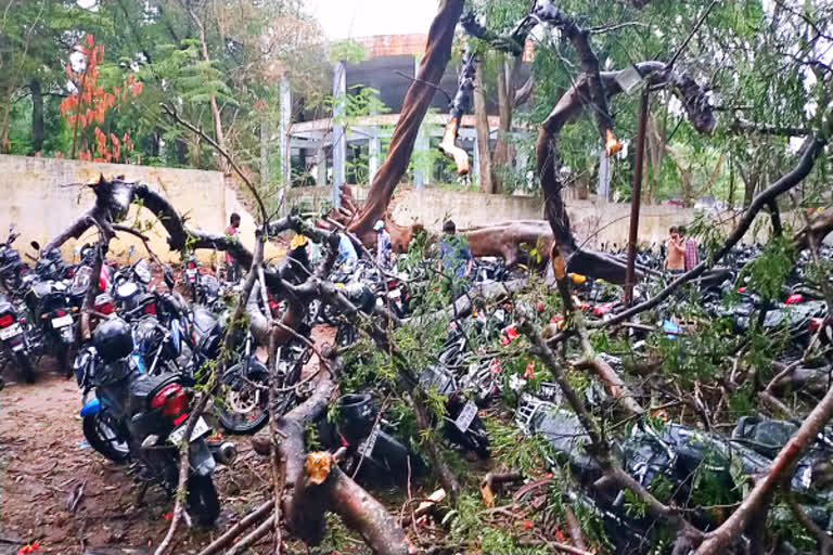 பொள்ளாச்சி: கனமழையால் மரம் விழுந்து இருசக்கர வாகனங்கள் சேதம்!