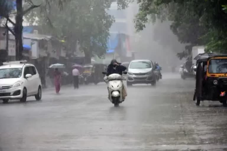 THE STATE DISASTER MANAGEMENT DEPARTMENT HAS FORECAST HEAVY RAIN  ശക്തമായ മഴയ്ക്ക് സാധ്യത  8 ജില്ലകളിൽ യെല്ലോ അലര്‍ട്ട് പ്രഖ്യാപിച്ചു  യെല്ലോ അലര്‍ട്ട്