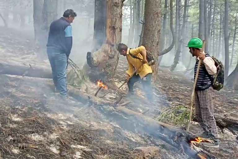 Fire Engulfed Khrew Forests, 3 Firefighters Injured: آگ بجھانے کے دوران محکمہ جنگلات کے 3ملازمین زخمی