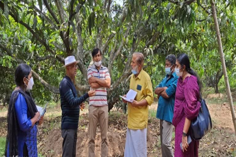 Muthalamada visit  മുതലമടയിലെ മാന്തോപ്പുകൾ മഹാരാഷ്ട്ര സംഘം സന്ദർശിച്ചു  കർഷകർക്ക് നിർദേശങ്ങൾ നൽകി മഹാരാഷ്‌ട്ര വിദഗ്‌ധ സംഘം  മഹാരാഷ്‌ട്ര വിദഗ്‌ധ സംഘം