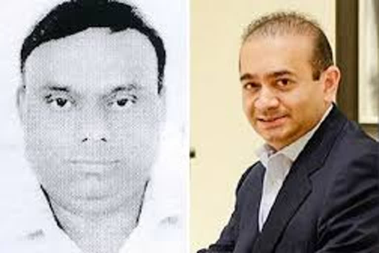 Nirav Modi's accomplice Subhas Parab remanded in CBI custody in PNB fraud case