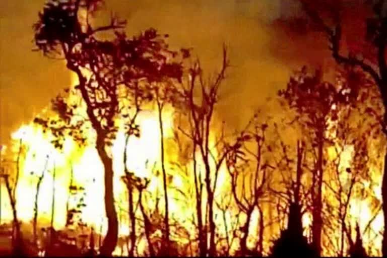 Andhra Pradesh: Fire breaks out in forest region of Tirumala