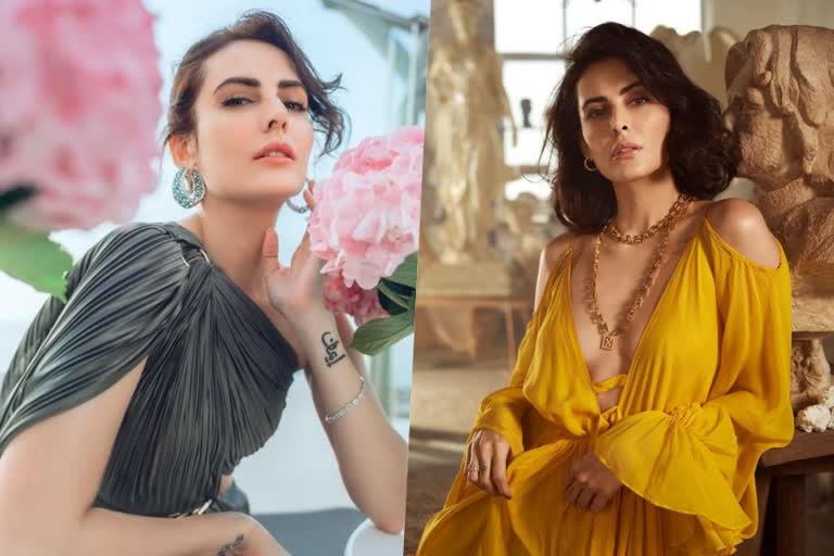 Mandana Karimi reveals her pregnancy  സംവിധായകനില്‍ നിന്നും ഗര്‍ഭിണിയായി  #Metoo